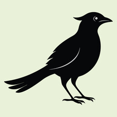 Bird Silhouette in flat background. Black Bird Icon. Bird Head Silhouette. Birds Collections. Set Of Birds Silhouette.