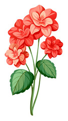 Vibrant Pink Geranium Flowers with Lush Green Leaves Illustration - vector illustration of vibrant geranium flowers with leaves. Perfect botanical design for nature-themed projects, floral decorations