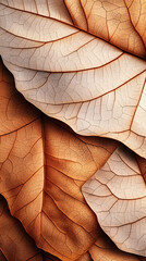 Obraz premium Brown leaf pattern abstract texture nature.