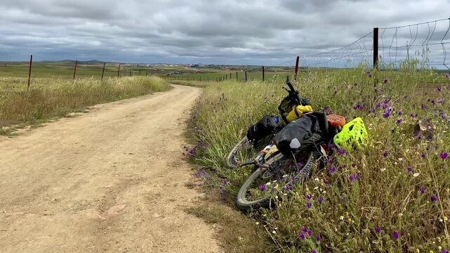 Bikepacking bike loaded with bags on the side of dirt road through picturesque wildflower pasture in the Extremadura region of Spain.