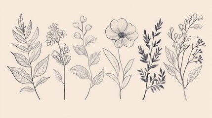 Botanical leaf and wildflower line art doodle on a light backdrop