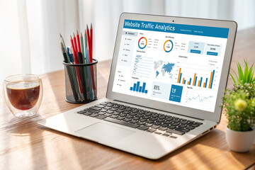 Computer software for website traffic analytics data on computer screen. Concept of SEO search engine optimization and customer targeting for online business snugly