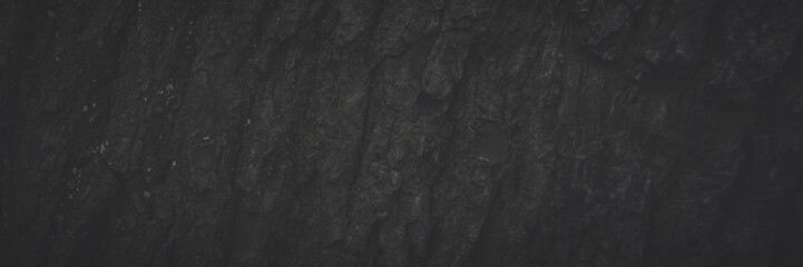 Natural texture of tree bark. Old tree trunk close-up. Natural wood background with bark patterns. Faded dark wide panoramic background for design.