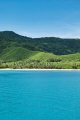 Portrait shot of a picture-perfect scene of the turquoise ocean in front of deep lush hills of a small island covered by coconut palm trees. Paradise-like island beach scene. Yasawa Islands of Fiji. 