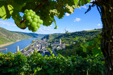 Blick auf Oberwesel am Rhein