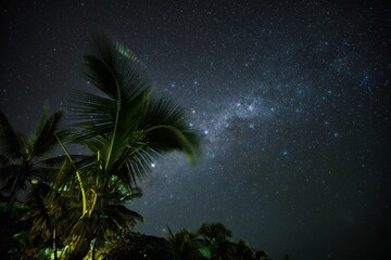 The Milky Way above coconut palm trees on a small island of Fiji. Fiji nighttime beach scene. Stunning night sky over the Yasawa Islands, Fiji. Palm trees, stars, and the Milky Way. 