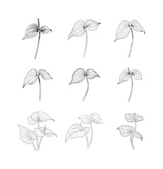 A collection of autumn flowers and leaves that are drawn on a white background