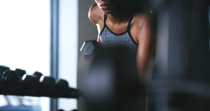 Dumbbell row, workout and woman arm exercise, muscular growth or bench fitness routine, challenge or focus. Gym dedication, weightlifting performance and determined female athlete training muscle