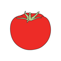 kids drawing Vector illustration tomato flat cartoon isolated