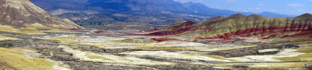 Striated red and brown paleosols in the Painted Hills