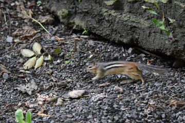 Economuseum 25 Août 2024