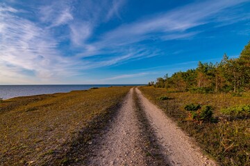 Fototapeta premium Seaside vehicle track road through a stone sand Estonia, Saaremaa. Blue sky with Clouds Evening Minimalist landscape.