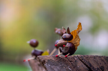 Funny chestnut squirell animal with cute face on natural background, traditional autumnal handcraft with children