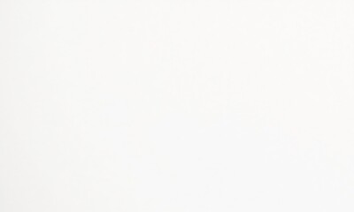 White paper texture with slight roughness album page as background