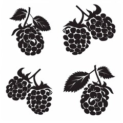 Vector illustration icon of rasberry