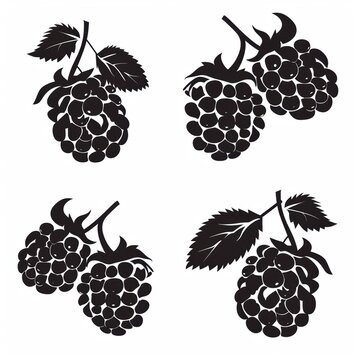 Vector illustration icon of rasberry
