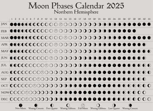 2025 Moon Phases Calendar. Northern Hemisphere lunar calendar design template. Astrological, astronomical moonlight activity scheduler. Month cycle planner mockup. Magical pastel colors vector.