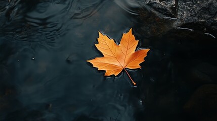 An autumn leaf rests on calm water, reflecting golden hues in a serene natural setting during the fall season