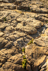 Macro view of natural texture of stone beach in Croatia, Adriatic Sea