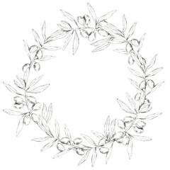 Circular wreath formed by intertwined olive branches, complete with detailed olives and leaves. Pencil drawing clipart for wedding, save the date,packaging designs for olive oils, soaps, and skincare