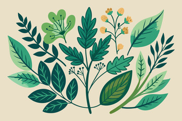 Elegant hand-drawn illustrations of herbal plants highlighting their leaves and form
