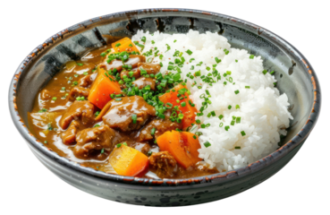 PNG Dish of japanese curry with rice mutton food meal.