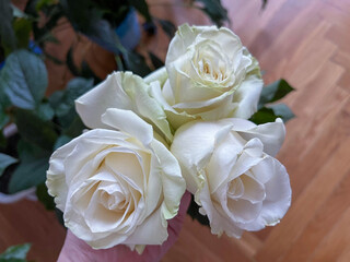 a beautiful bouquet of white roses in the shape of a peony as a gift
