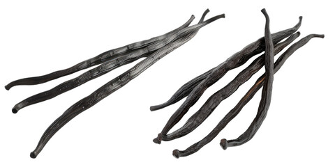 Vanilla beans isolated on transparent background,
