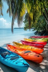 Kayak boat in tropical beach with coconut tree
