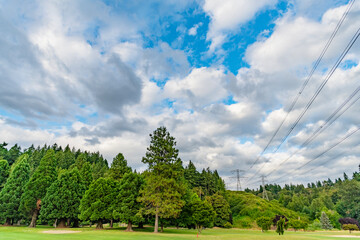 High voltage. Electricity pylon. Nature summer environment. Electricity tower. Electricity power lines in landscape. Green nature energy. Landscape of electric voltage station. Power transmission