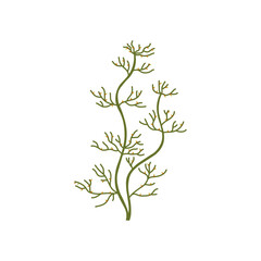 Vector icon of exotic green algae with elegant thin appendages and red elements