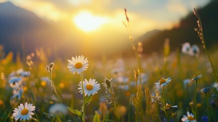 Peaceful Alpine Meadow Filled with Spring Blooms