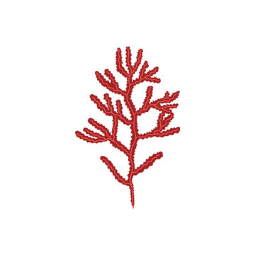 recommend clip art: Red seaweed vector illustration