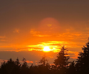 Obraz premium Sunset in the Forest