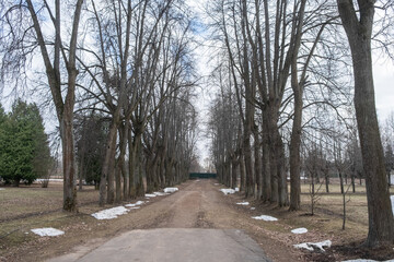 Serednikovo manor, mansion, palace, white building. Equestrian building,