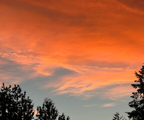 orange clouds at sunset