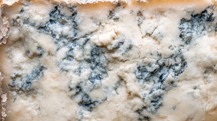 Obraz premium texture of the cheese