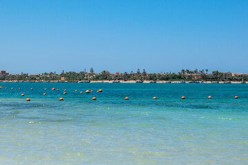 Obraz premium beach with palm trees blue sea and sky
