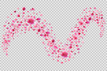 Pink sakura petals trail on transparent png background. Abstract cherry, rose or peach blossom particles flying in magic wind. Stock vector illustration in realistic style.