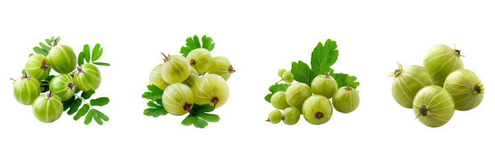 Set of Indian gooseberry with same leaf's isolated on a transparent background