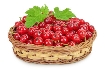 Red currant berries in a wicker basket with leaf isolated on white background