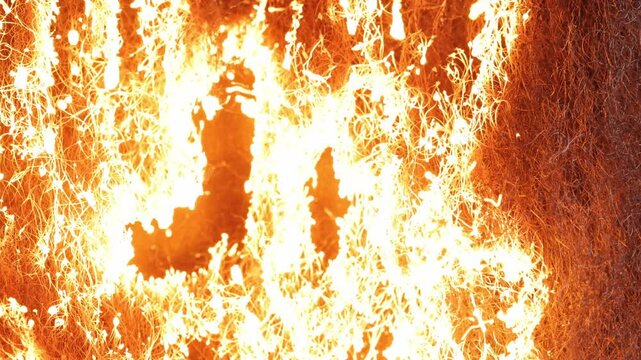 Macro shot of steel wool burning. Great for a background.