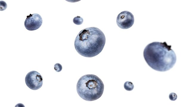 Falling BlueBerries with Isolated White Background - High-Quality Stock Video, Blueberry, Blackberry white background