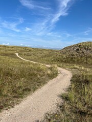 a path leads through the dunes to the sea, lined with bushes and grass