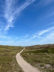 a path leads through the dunes to the sea, lined with bushes and grass