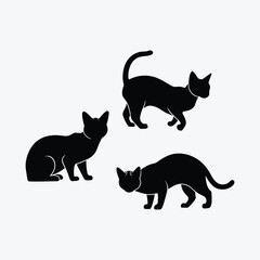 Scottish fold cat silhouette vector template illustration