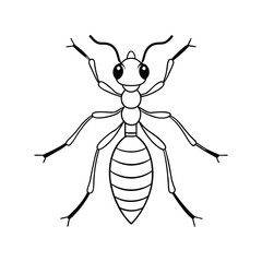Ants silhouette illustration color Icon on White and
 black Vector Backgrounds.