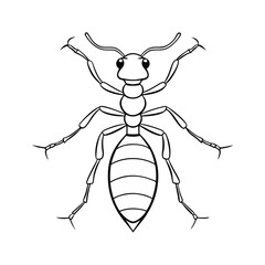 Ants silhouette illustration color Icon on White and
 black Vector Backgrounds.