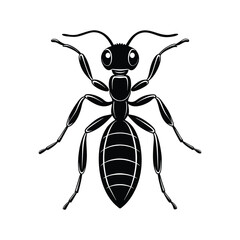 Ants silhouette illustration color Icon on White and
 black Vector Backgrounds.