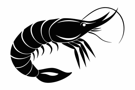 recommend clip art: shrimp vector silhouette, shrimp icon vector, Sea lobster	